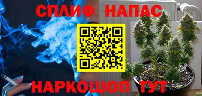 винт Донской