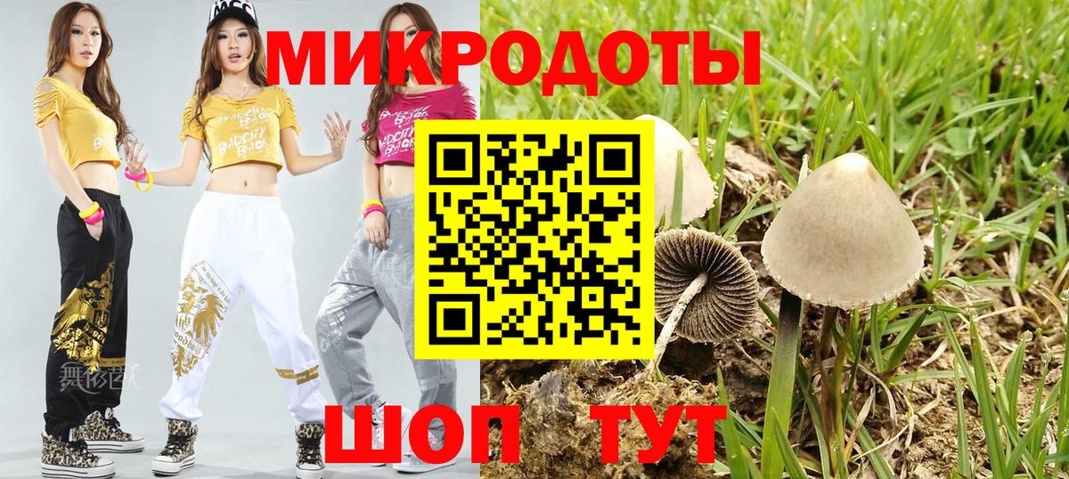 Крымск  Псилоцибиновые грибы Psilocybine cubensis  Вход с VPN 