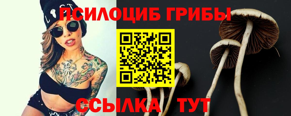 Каннабис  Вход с VPN  Метамфетамин  Крымск  НБОМе  Меф кристаллы  Гашиш 